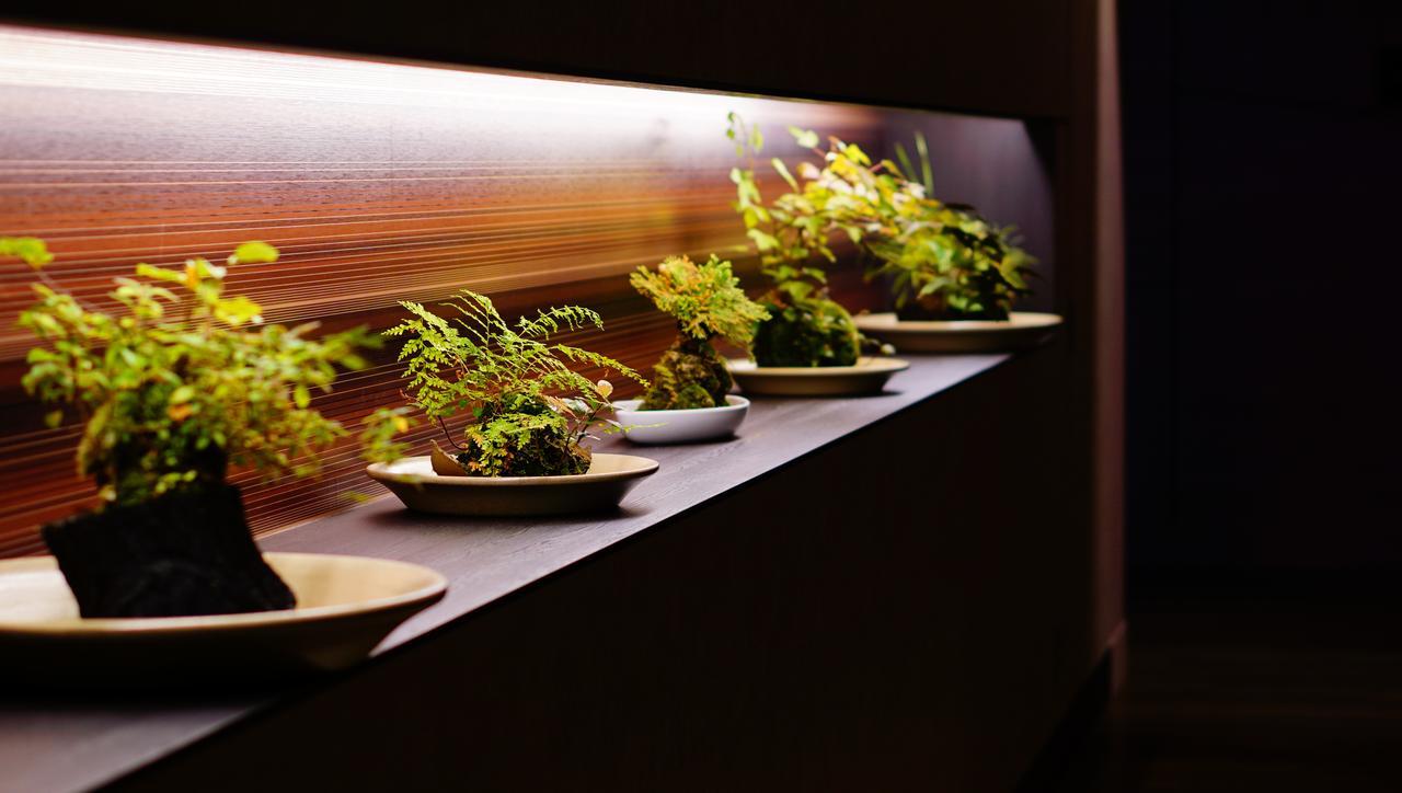 Nanki-Shirahama Marriott Hotel Kültér fotó Plants in a restaurant